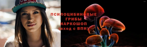 винт Каменка