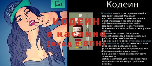 винт Каменка