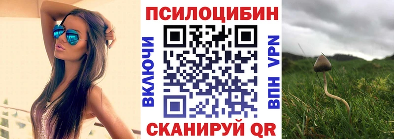 Купить закладки  Лангепас  Галлюциногенные грибы Psilocybine cubensis 